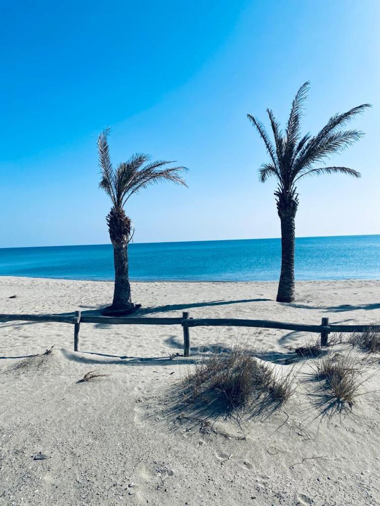 Paradis Bleu Vue Mer, Direct Plage Le Barcarès Екстериор снимка